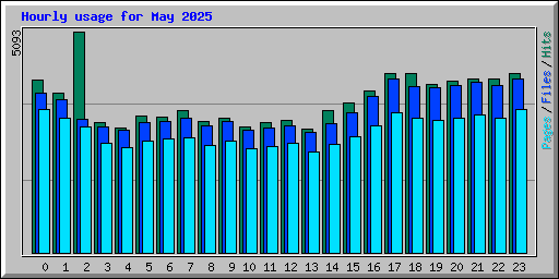 Hourly usage for May 2025
