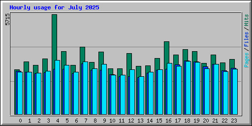 Hourly usage for July 2025