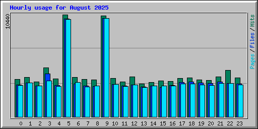 Hourly usage for August 2025
