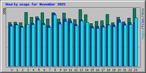 Hourly usage for November 2025