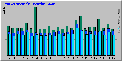 Hourly usage for December 2025