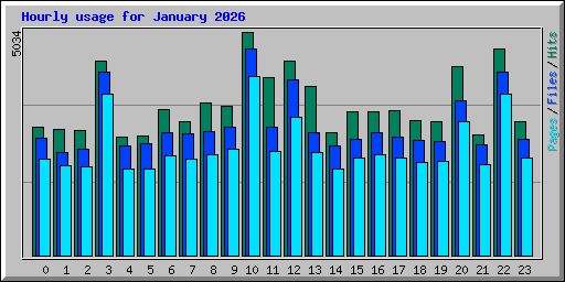 Hourly usage for January 2026