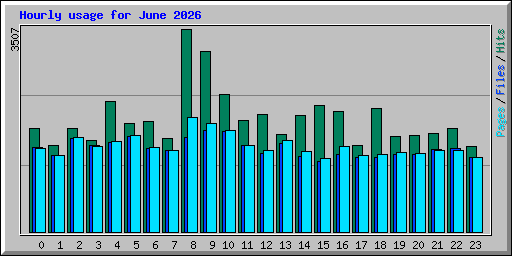 Hourly usage for June 2026